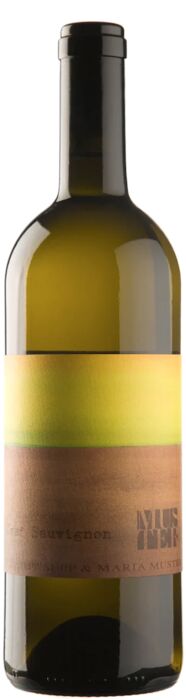 Sepp Muster - Graf Sauvignon 2021 EKO