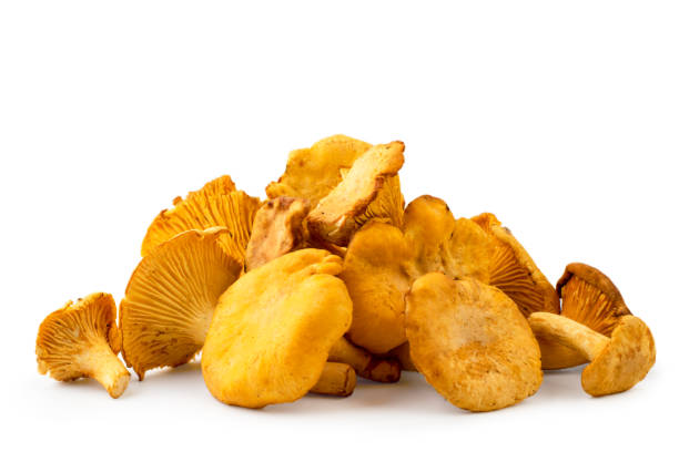 Kantareller hel låda 3kg