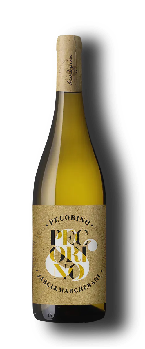 Pecorino