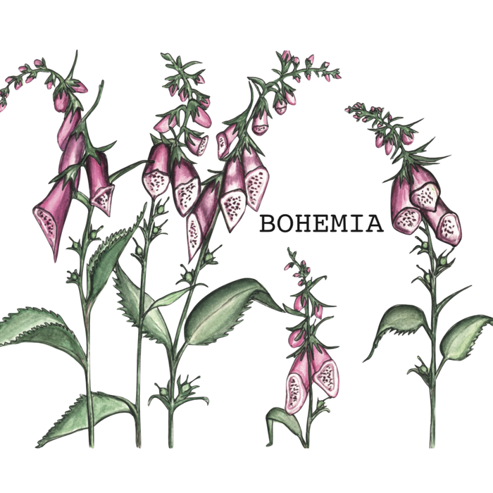 Munklägrets Bohemia