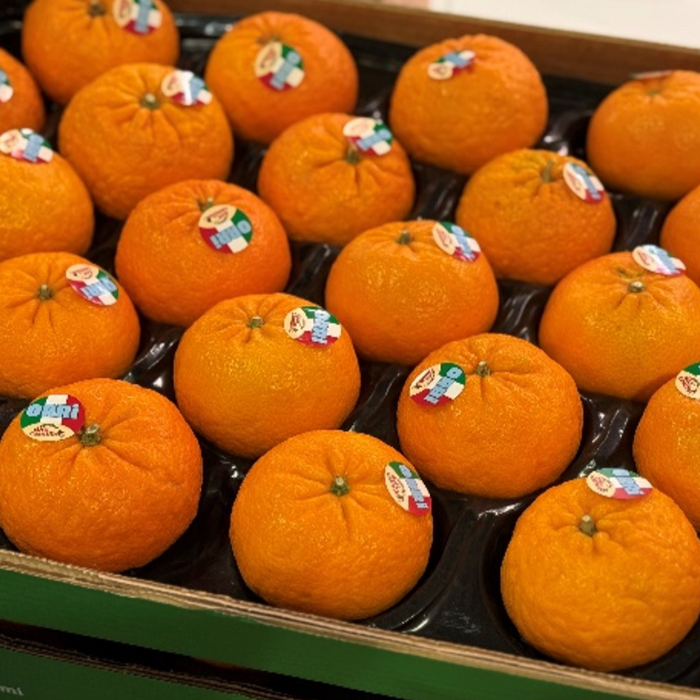 CLE* Clementin Orri, stor ca 5kg/krt