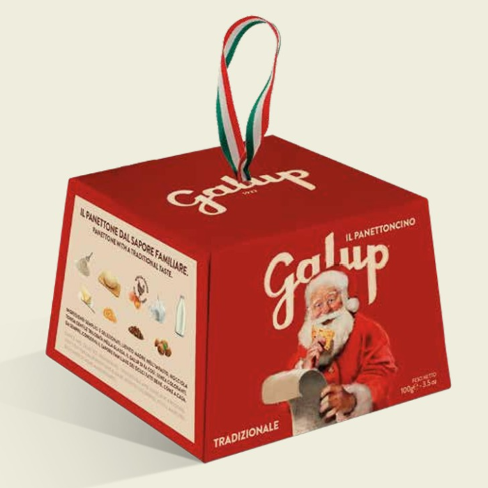 CHE45 Mini panettone,100 g, Galup