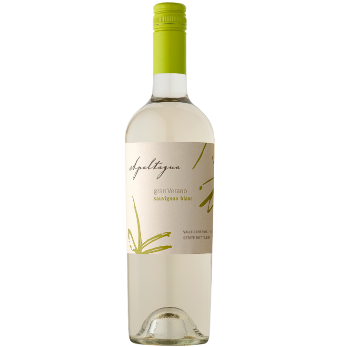 Apaltagua GV Cab Savignon