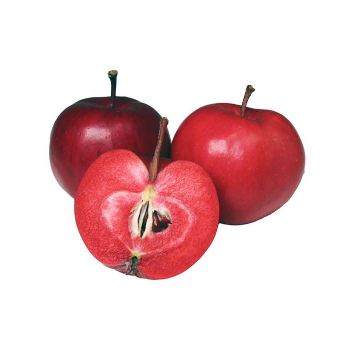 Äpple Fanny Lösvikt