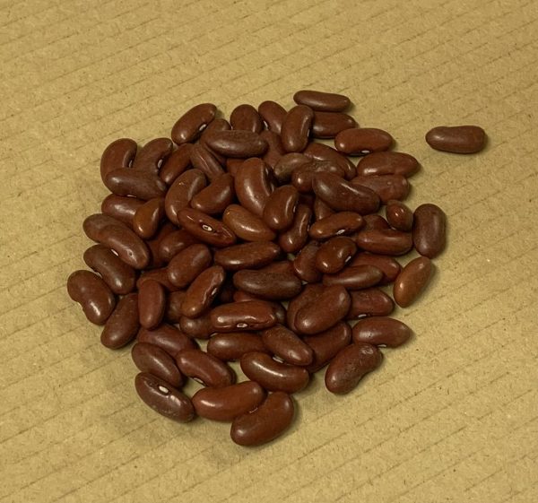 Fagraslätt Kidneybönor KRAV