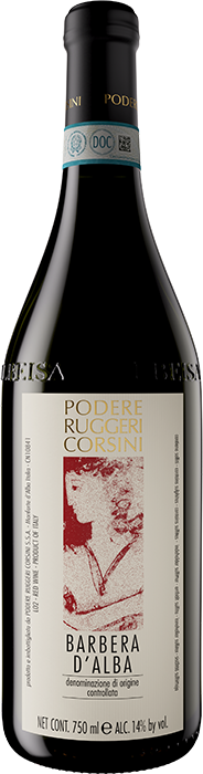 Barbera d'Alba Bordeaux Jeroboam 5L