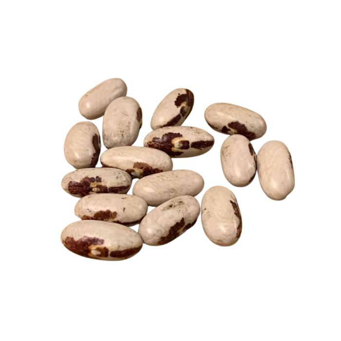 Fagraslätt Soldatbönor KRAV