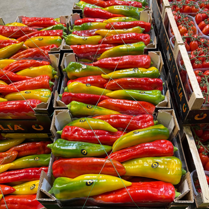 Mix av spetspaprikor ca 4kg/krt, Marrapese