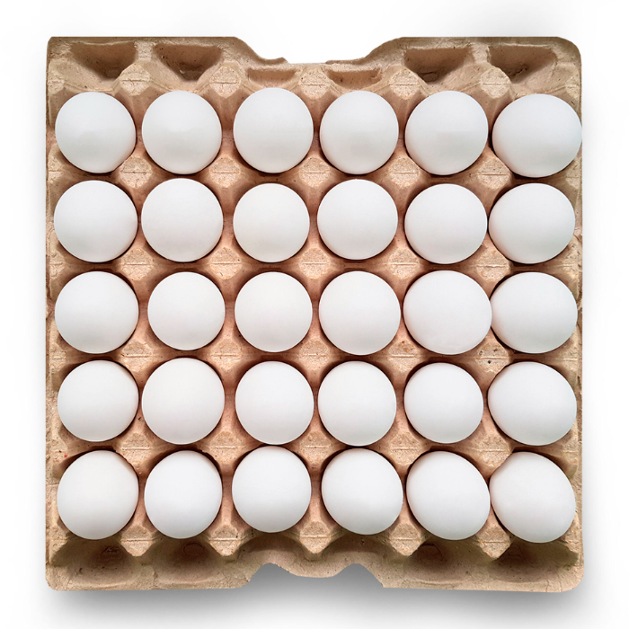 Ägg frigående vita 10 flak (ca 19kg)