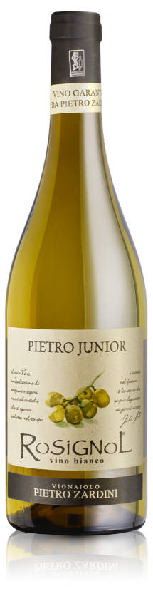 Rosignol Bianco