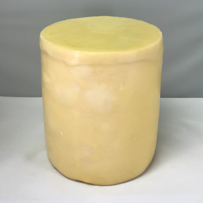 Cheddar Kvibille 20 mån 2,8 kg