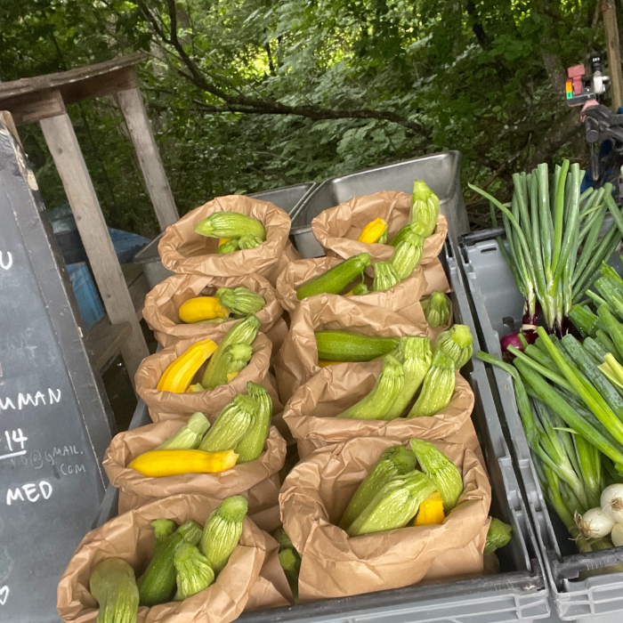 Karshamra, Zucchini gröna, gula, runda, avlånga