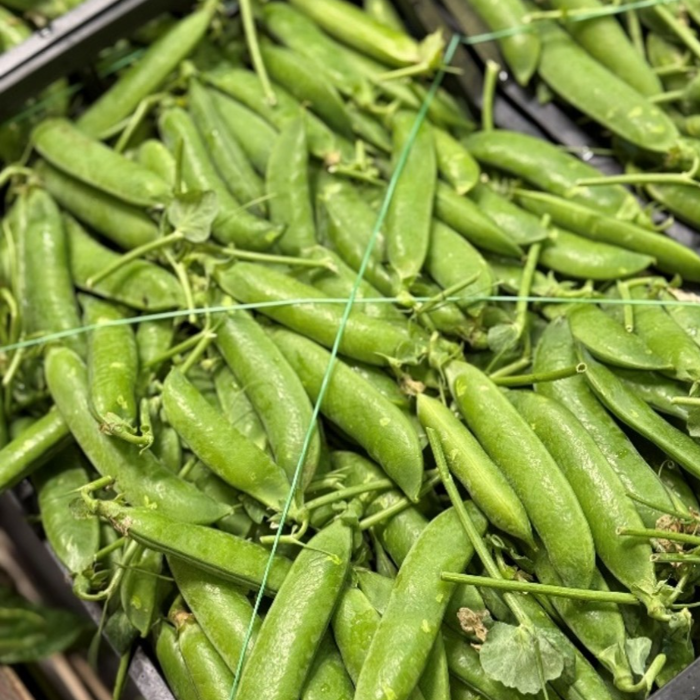 Piselli/Gröna ärtor ca 6kg/krt