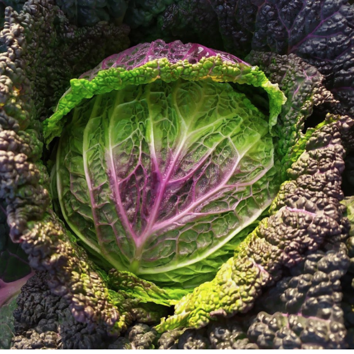 Savoy Lila/Verze Viola ( Marrapese -6 kg box)