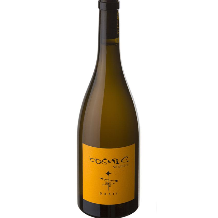 Cosmic - Desti 2023