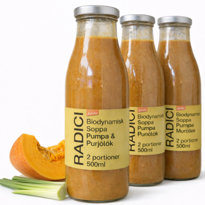 Soppa Pumpa & Purjolök Eko (Radici - 500ml)