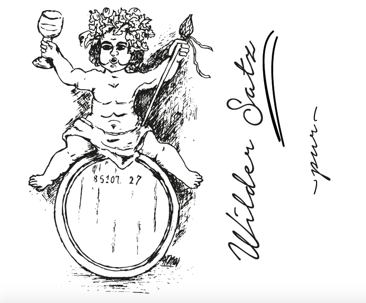 Weingut Brand - Wilder Satz White 2023 EKO