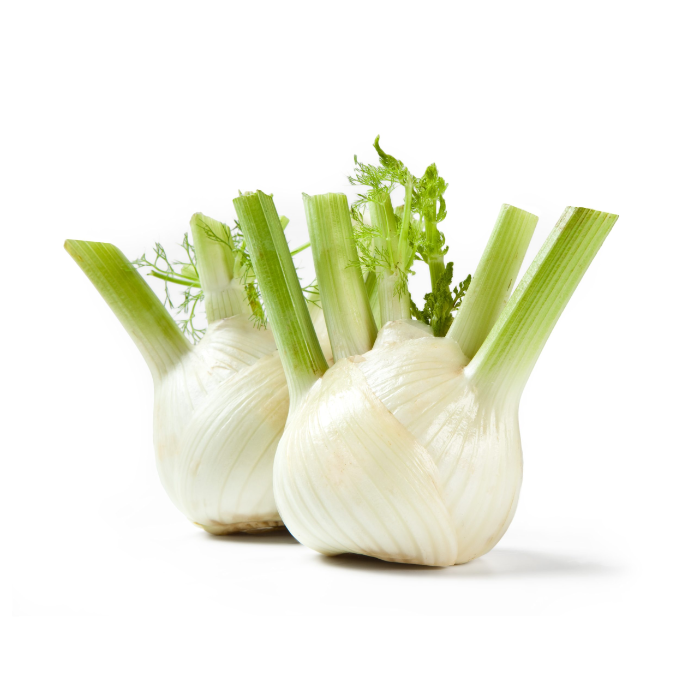 Fänkål Lösvikt