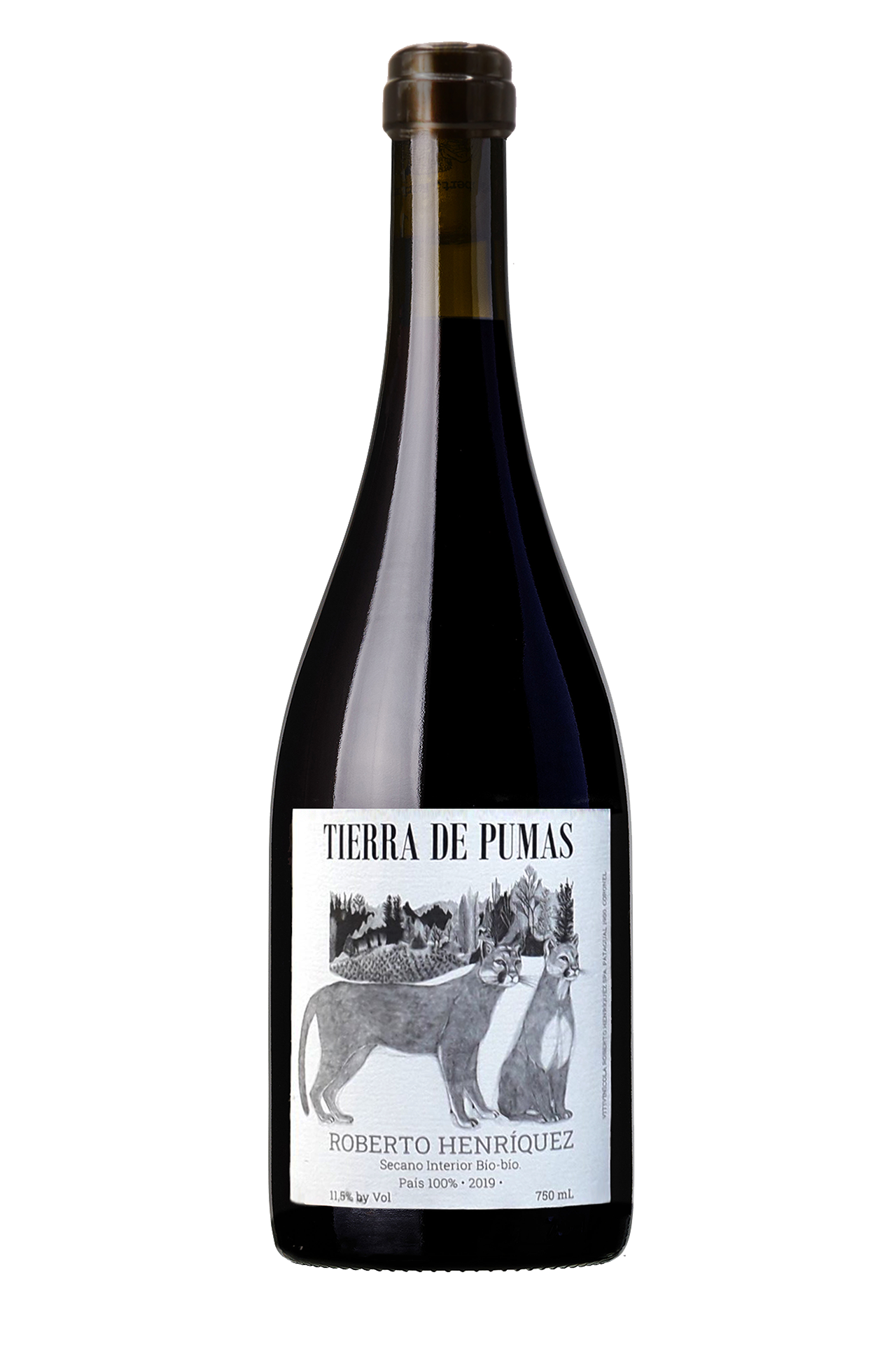 Tierra de Pumas 2022