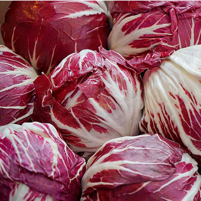 Radicchio Tondo 3kg/krt
