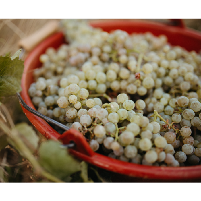 Schloss Schönberg - Zores Orange (Flaska 750 ml)