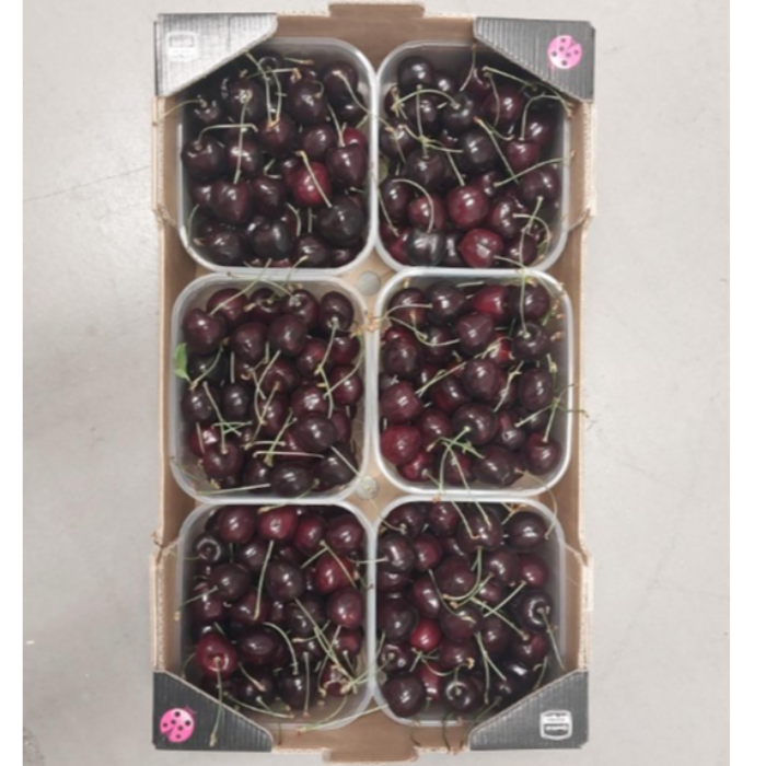 Körsbär/Biggarå Chiliege  ca 3kg/krt