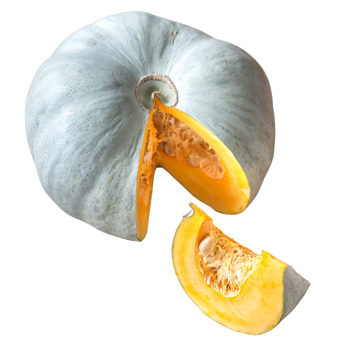 Pumpa Crown Prince
