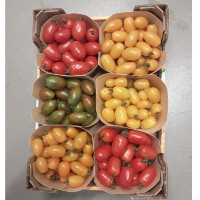 Tomat körsbär/Pomodorini Mix ca 4 Kg/krt