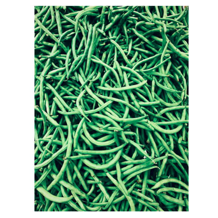 Haricot Vert ´/Fagiolini verdi ca 5kg/krt