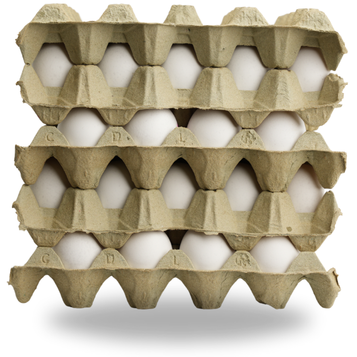 Ägg Svensk Eko (160 st/krt (53-63g/st)