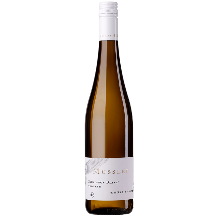 Sauvignon Blanc - Trocken