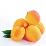Aprikos Pricia/Portic ( Marrap - Albicocche)