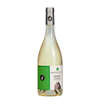 Côtes Catalanes INITIUM BLANC 2025