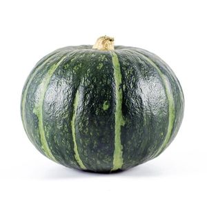 Pumpa Delicia