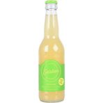 Citron & Ingefära 330ml