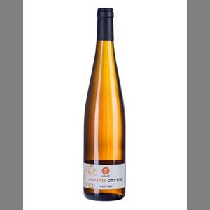 Orange Pinot Gris Sauvage