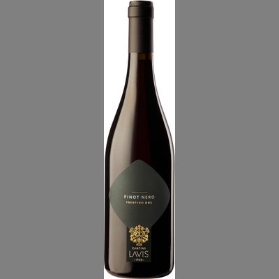 Pinot Nero Trentino DOC0