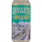 Hornsgatan Sommarlager