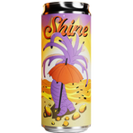 Ten Hands-Shine 4,7% 33 cl slimburk