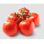 Tomat Cirio, på kvist. (Marrap - Pomodoro cirio)