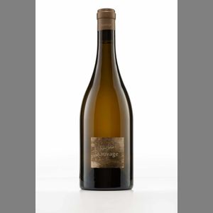 Pascal Jolivet Sancerre Sauvage