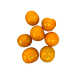 Tomat Orangino Lösvikt