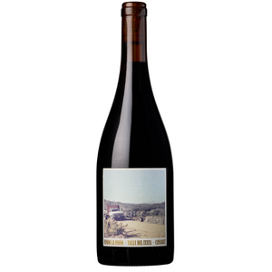 Fundo la Union Cinsault