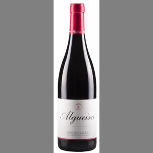 MENCIA