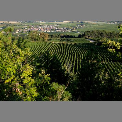 Roux Pere & Fils