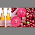 Jus de Pommes Rosé La Ribaude EKO