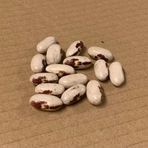 Fagraslätt Soldatbönor KRAV