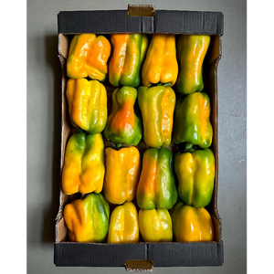 Paprika Gul/Peperoni gialla ca 5kg/krt