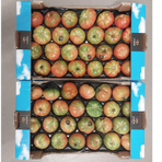 Tomat/Pomodoro Cosoluto/marinda ca 3,5 kg
