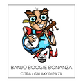 Banjo Boogie Bonanza
